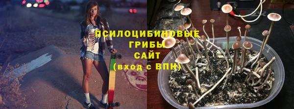 наркотики Белокуриха