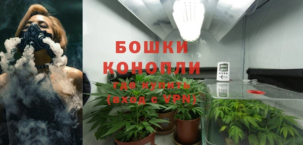 СК Балахна